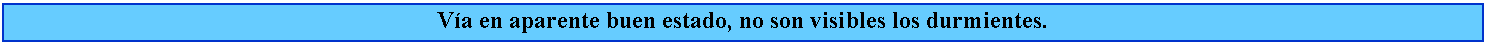 Cuadro de texto: Va en aparente buen estado, no son visibles los durmientes.